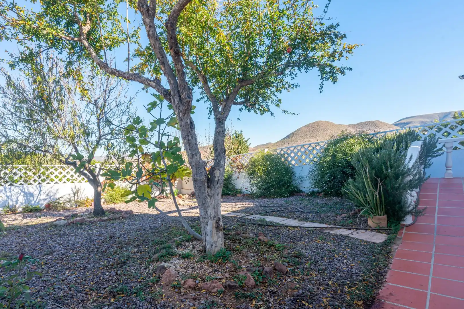 Jardín de Casa o chalet en venta en Níjar con Calefacción, Jardín privado y Terraza