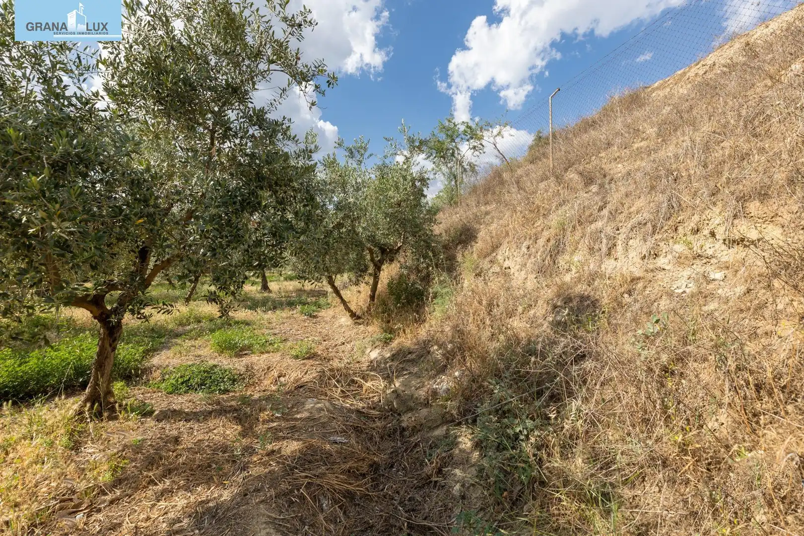 Terreno rustico in vendita a Calle POL 1, PARC 176, imagen 19