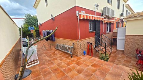 Campanillas