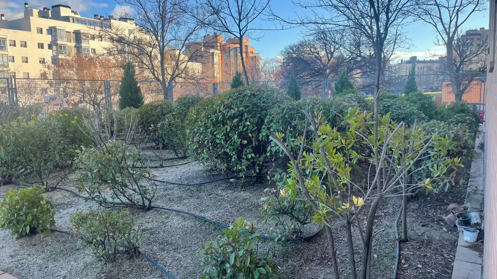 Jardí de Pis de lloguer en Madrid amb Aire condicionat, Calefacció i Traster
