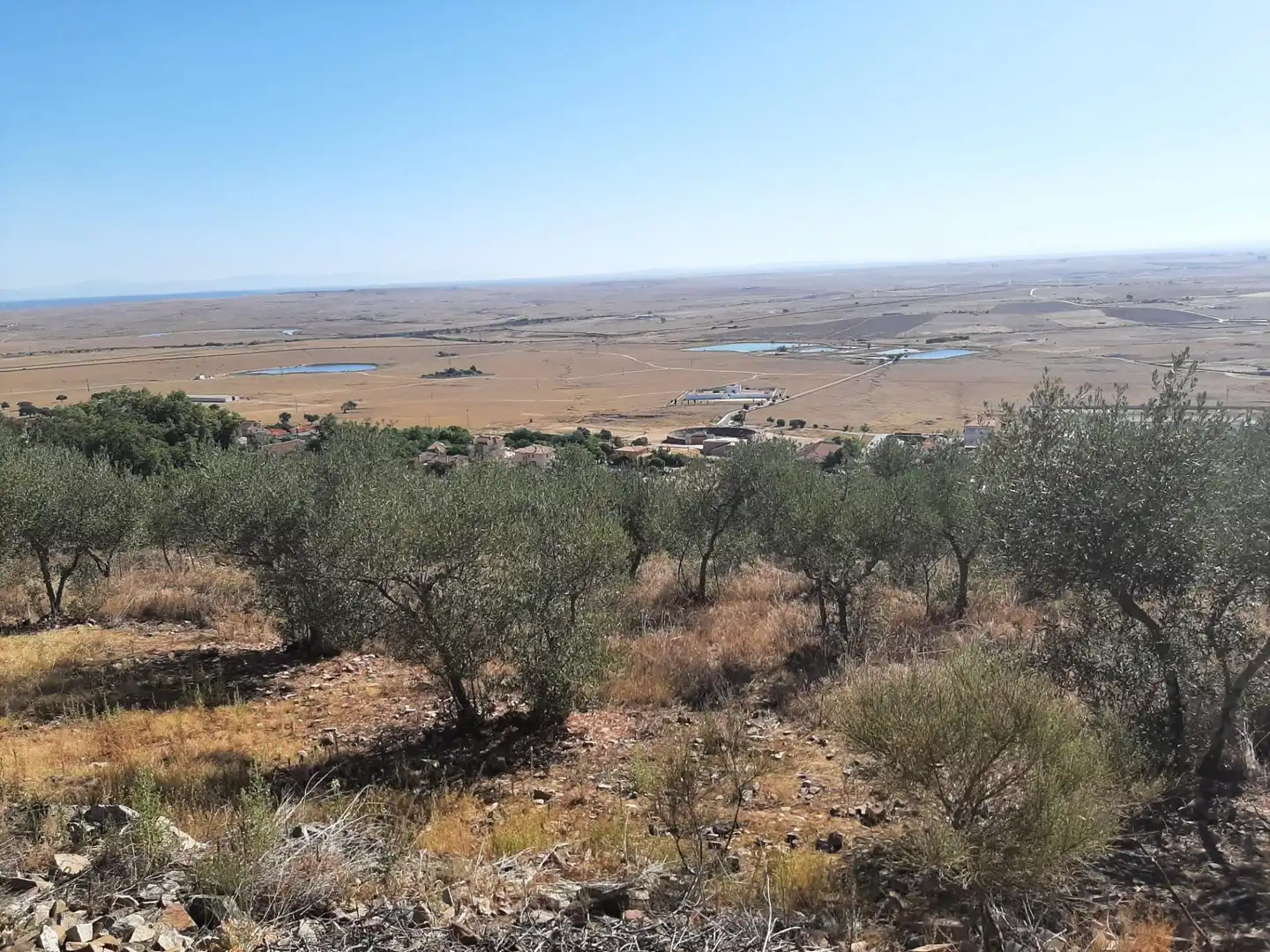 Terreni e lotti in vendita a Sierra de Fuentes, imagen 2