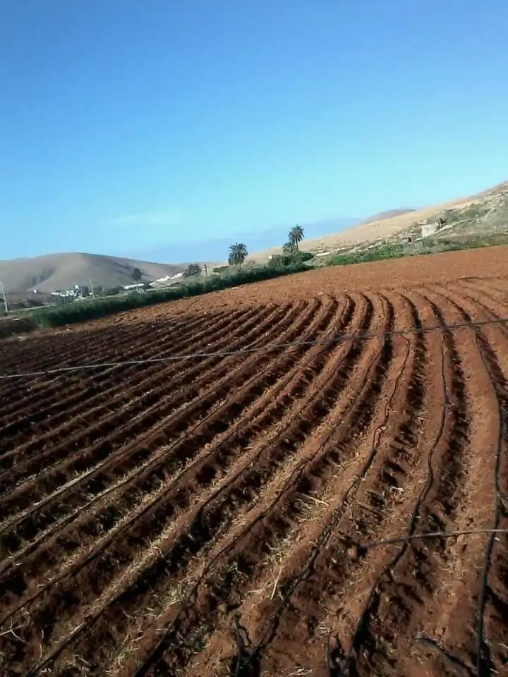 Vista exterior de Finca rústica en venta en Pájara