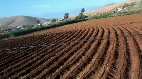 Photo 5 of Country house for sale in Toto, Las Palmas