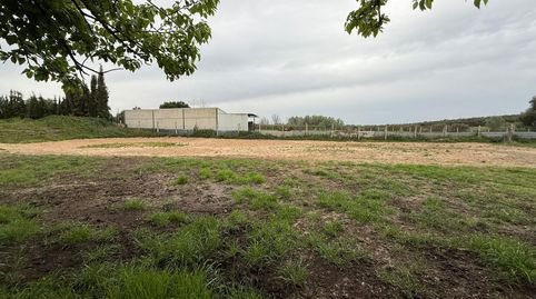 Photo 4 of Land for sale in Pilas, Pilas, Sevilla