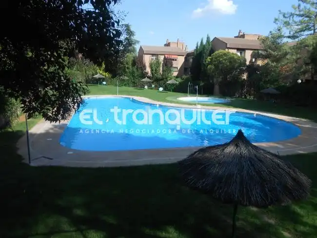 Wohnung mit Pool zur Miete in Avenida Paralela, imagen 18