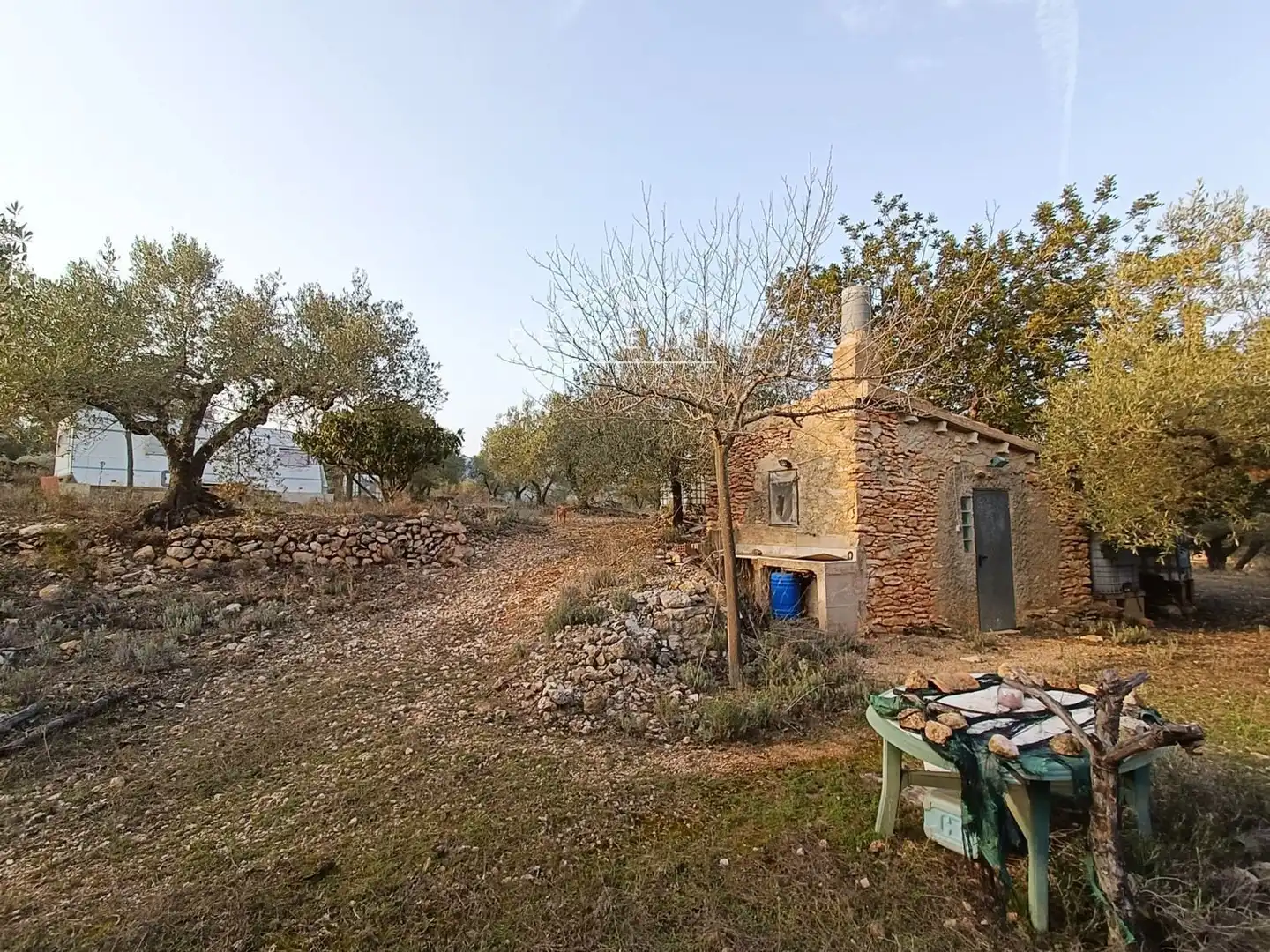 Terrain rustique à vendre à Rasquera, imagen 5