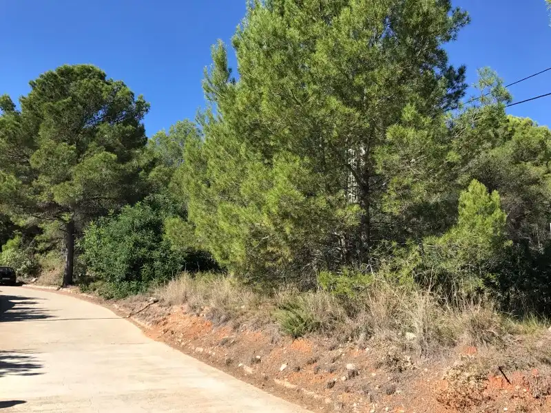 Terreno rústico en venta en Carrer Ametler, imagen 21