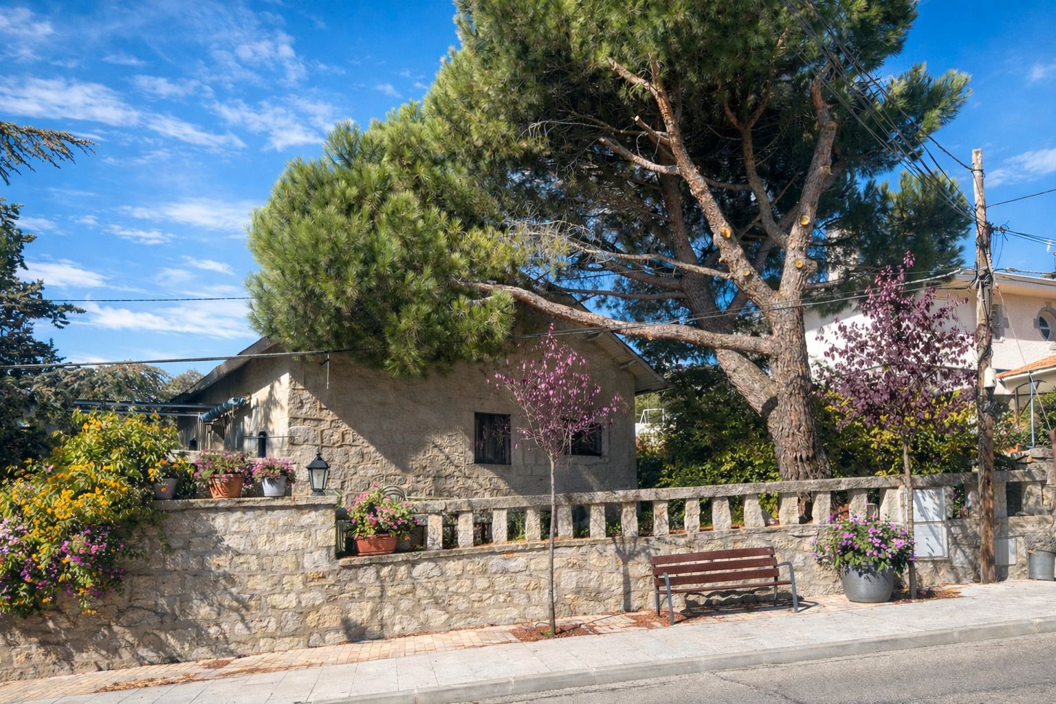 Exterior view of House or chalet for sale in Hoyo de Manzanares  with Private garden and Balcony