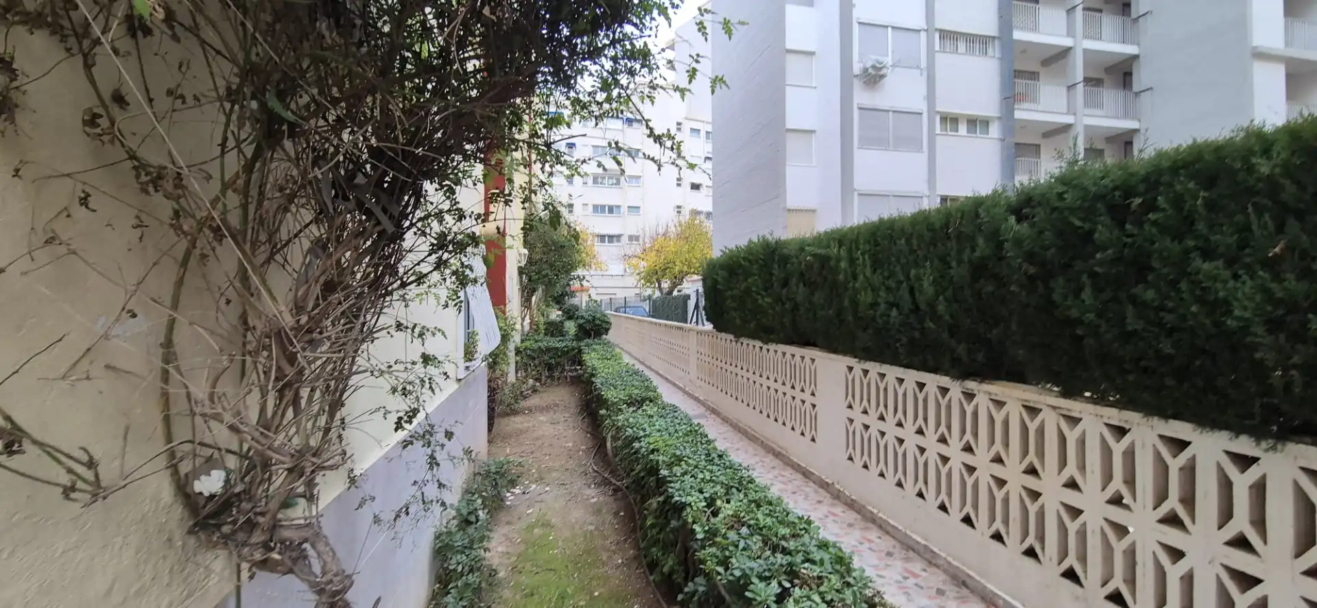 Vista exterior de Estudi en venda en Gandia amb Aire condicionat, Terrassa i Moblat