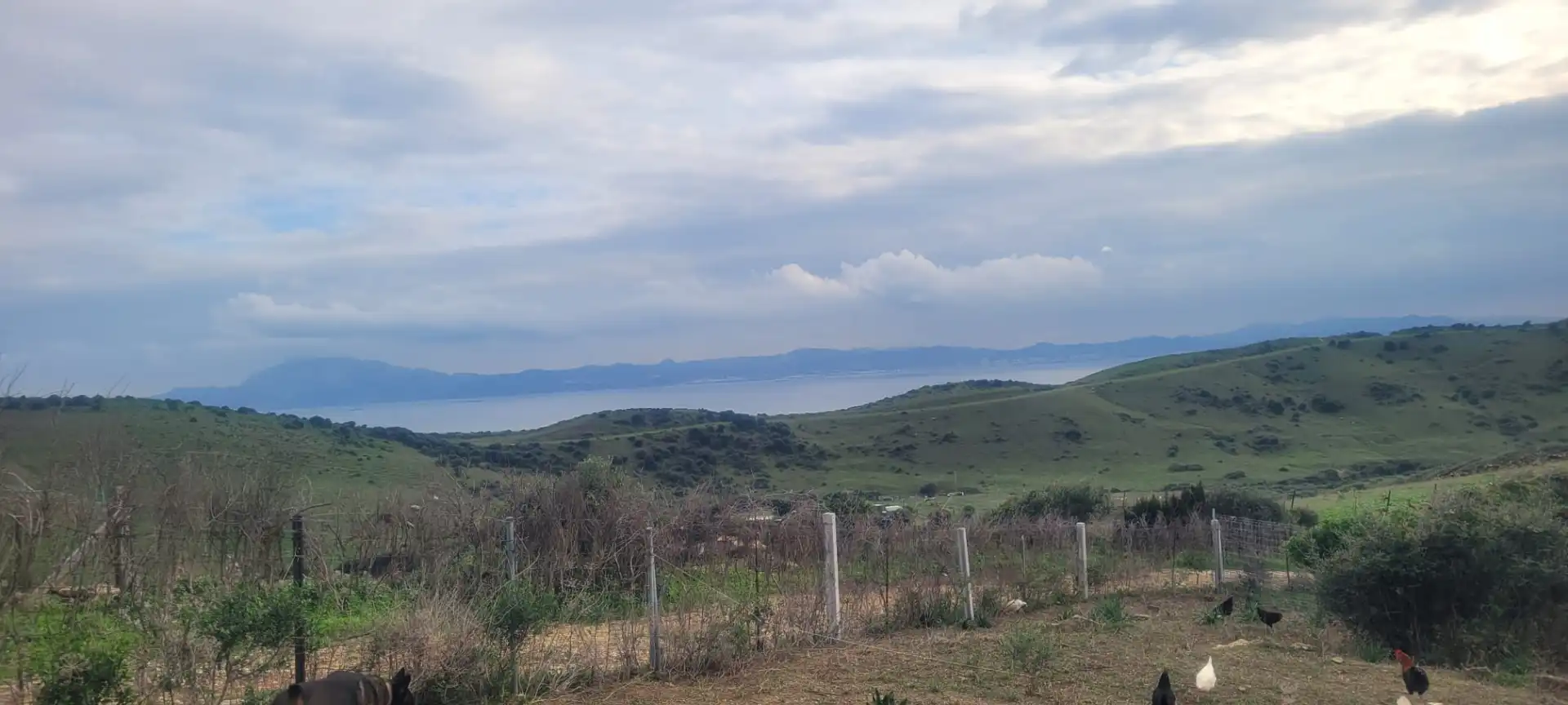 Terreni e lotti in vendita a Cañada de Matatoros 2, imagen 28