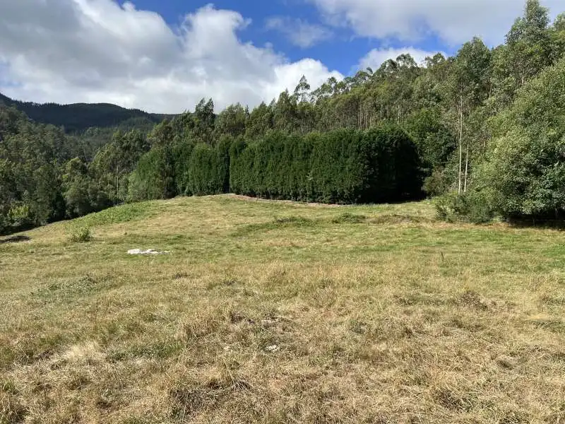 Finca rústica en venda en Llanera