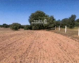 Land for sale in Zamayón