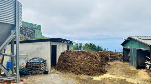 Photo 4 of Premises for sale in El Drago, Garachico, Santa Cruz de Tenerife