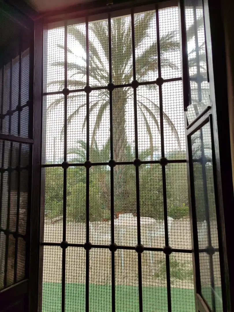 Vista exterior de Casa o xalet en venda en Elche / Elx amb Jardí privat, Traster i Moblat