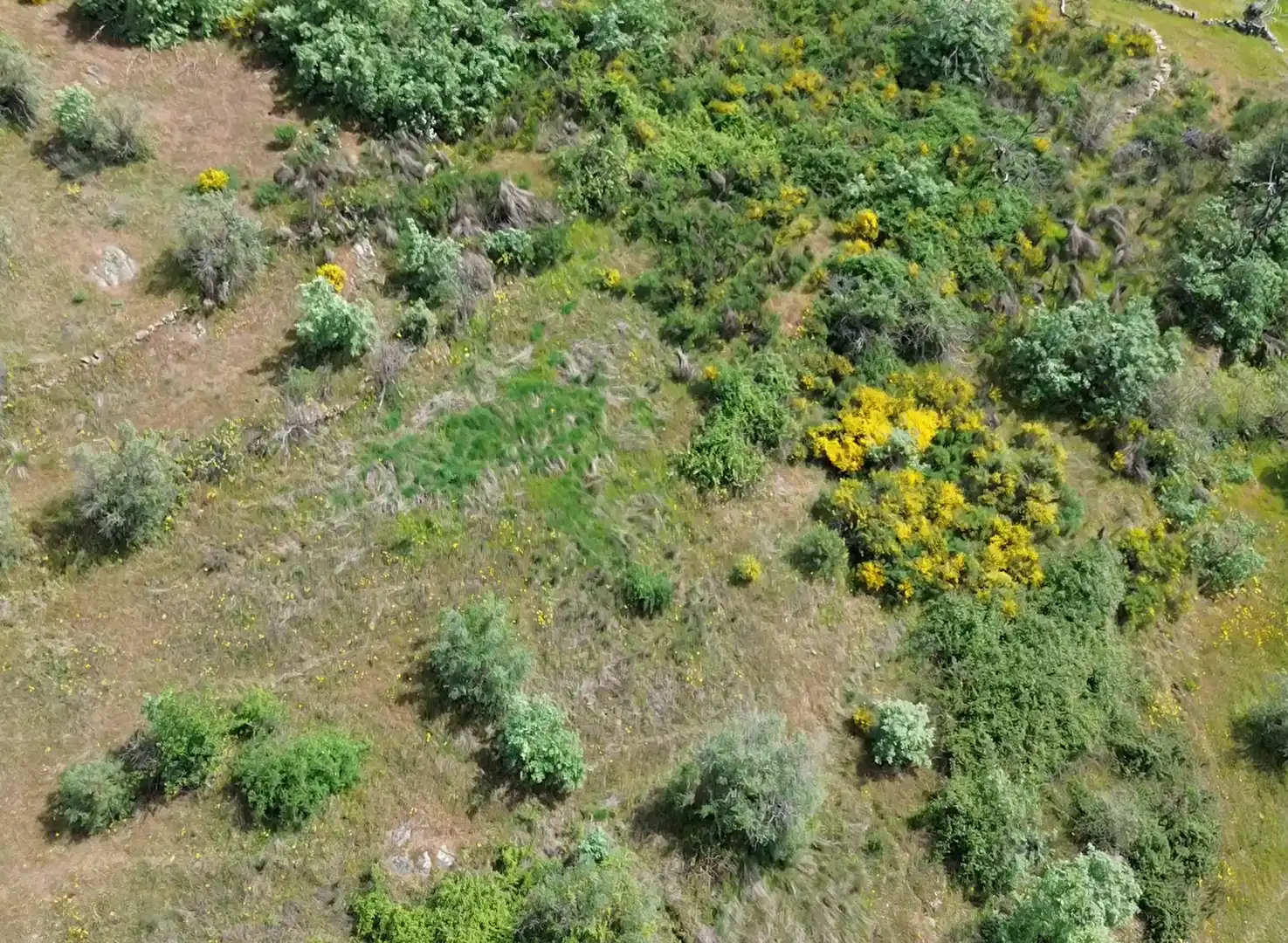 Terreni e lotti in vendita a Viandar de la Vera, imagen 5