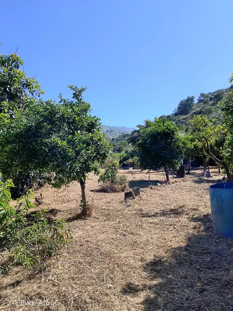 Finca rústica en venda en Santa Brígida