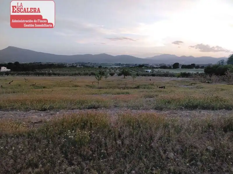 Xalet amb jardí en venda a Castalla, imagen 36