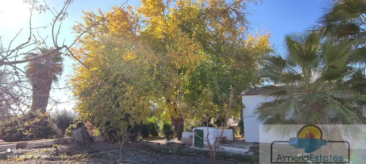 Casa in vendita a Albox, imagen 5