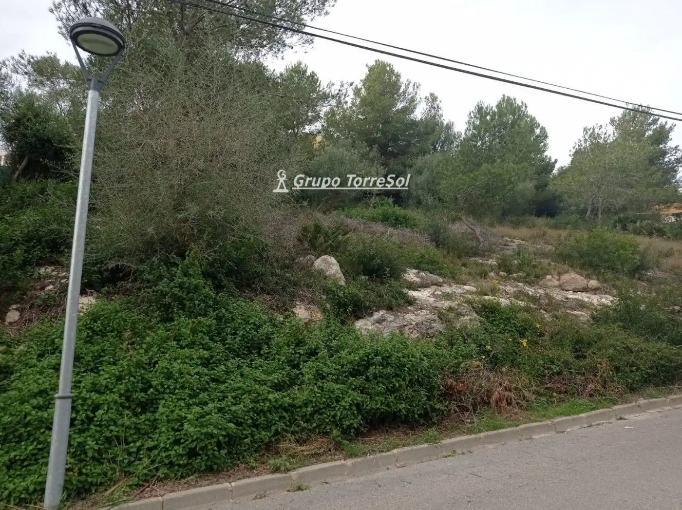 Terreno rustico in vendita a TORRE DELS ESCIPIONS, imagen 4