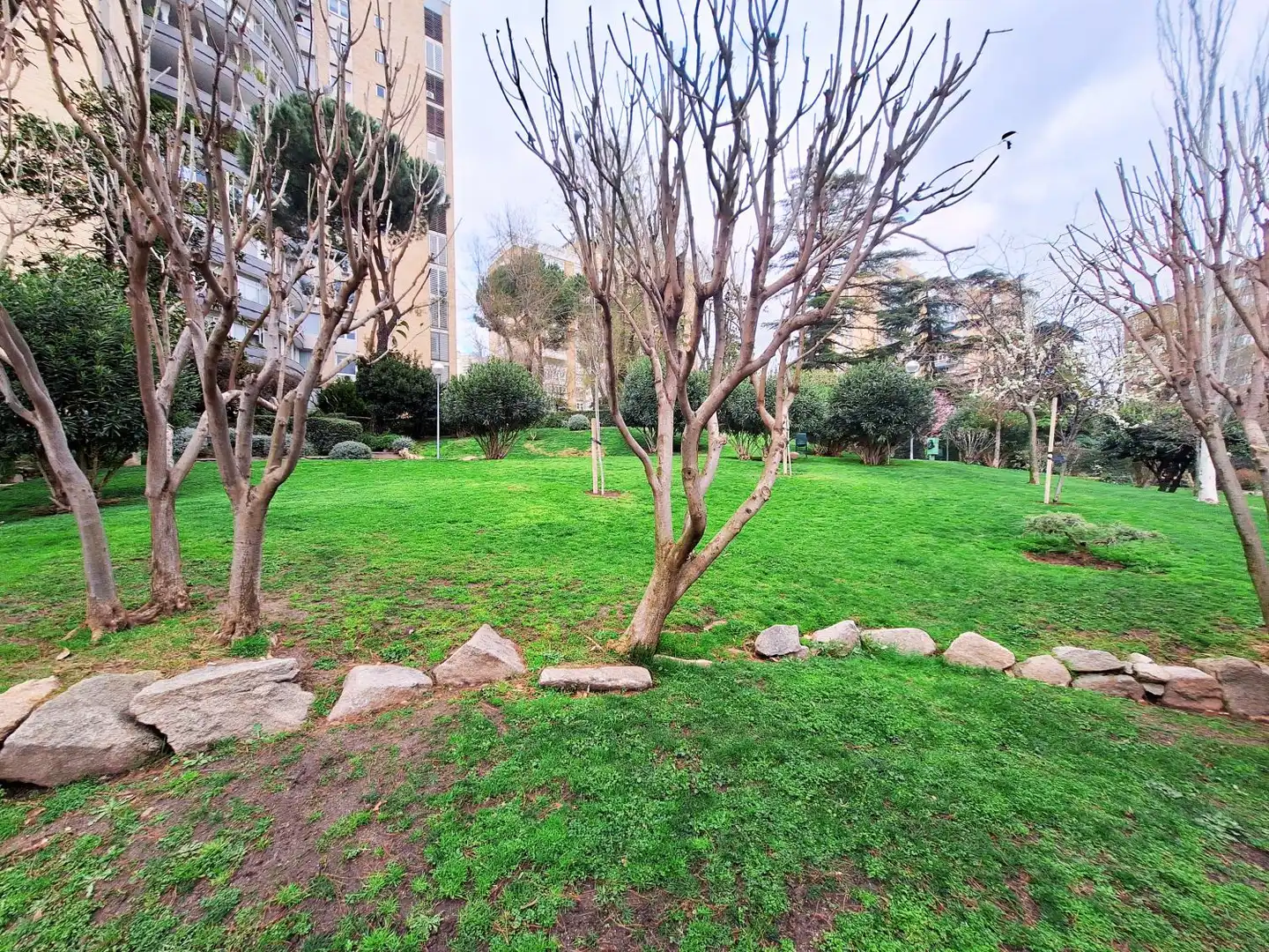 Garden of Flat for rent in Madrid  with Air Conditioner, Heating and Furnished