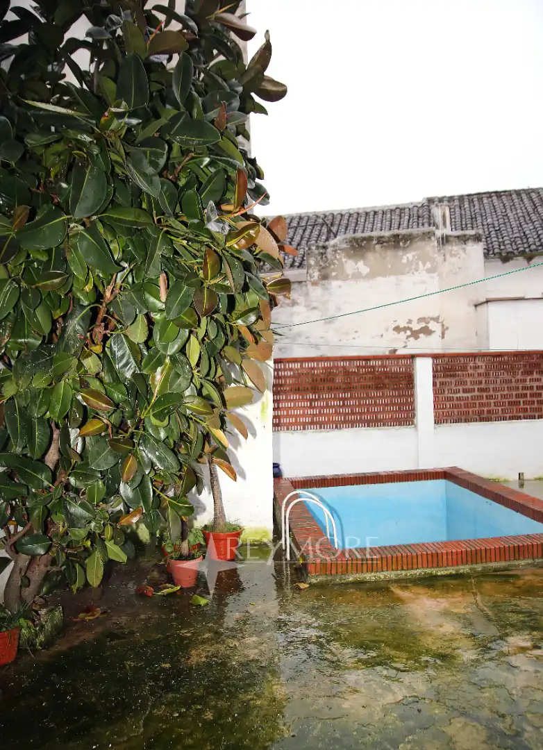 Jardín de Casa o chalet en venta en Bujalance con Jardín privado, Trastero y Piscina