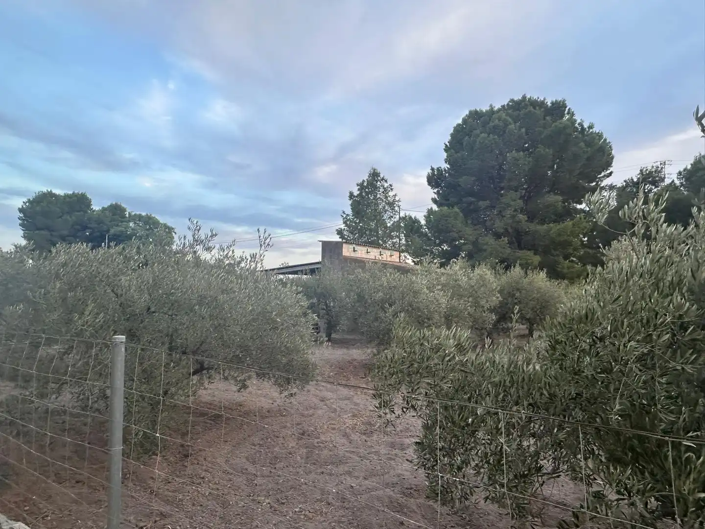 Terreno en venta en Alhama de Murcia
