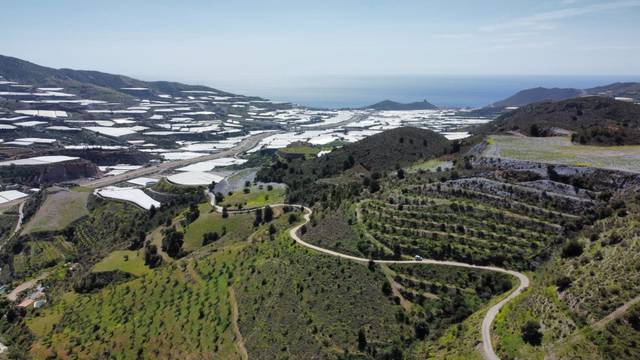 Terreno en Venta en Gualchos pueblo