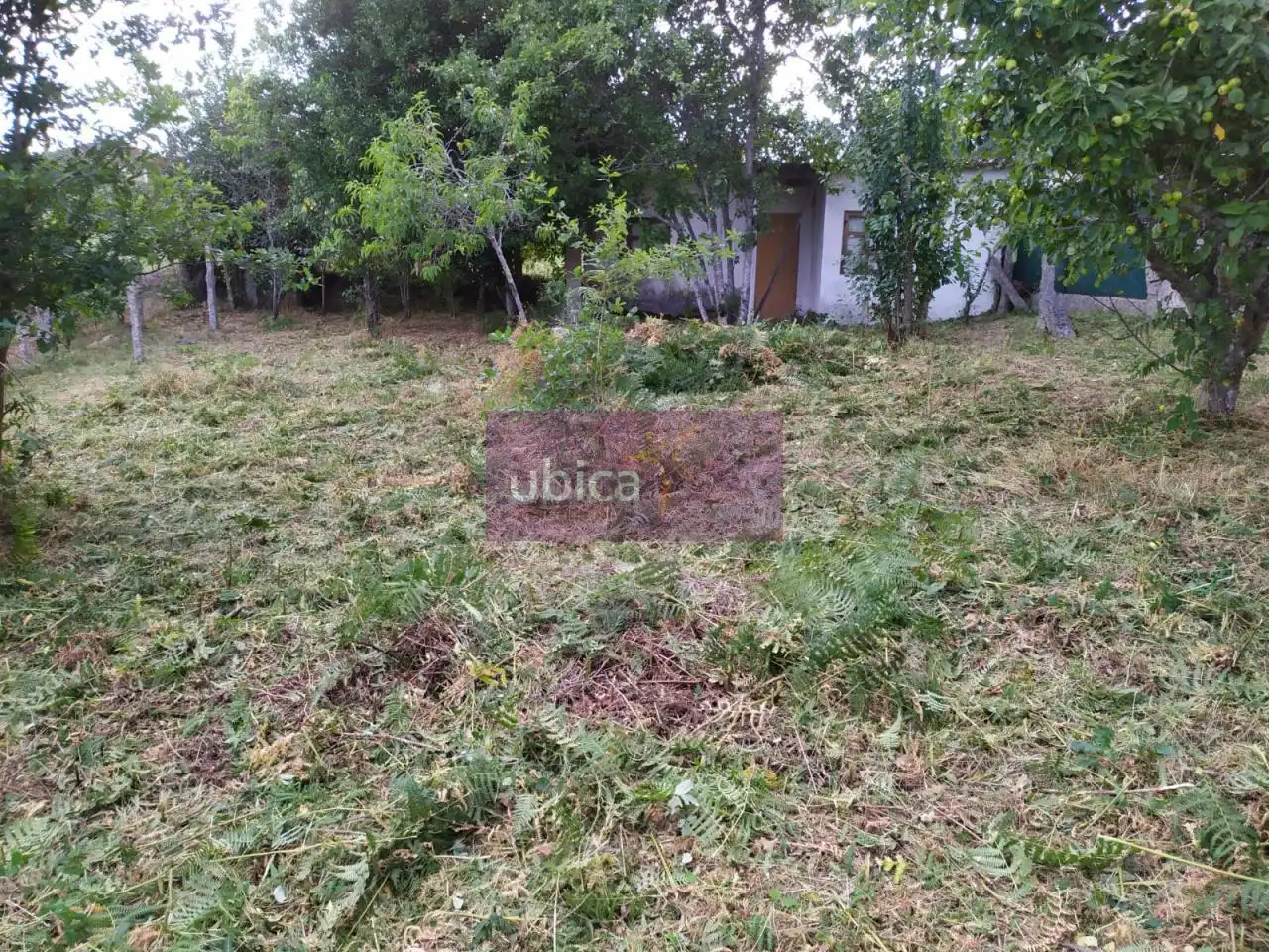 Lands and plots for sale in Salceda de Caselas, imagen 5