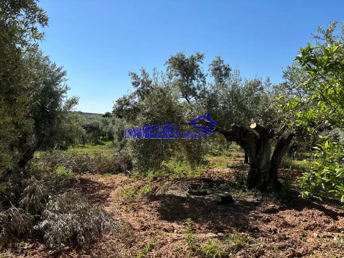Casa rústica en venta en Montoro, imagen 29