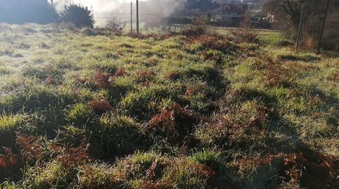 Solar en venta en Tebra., immagine 3