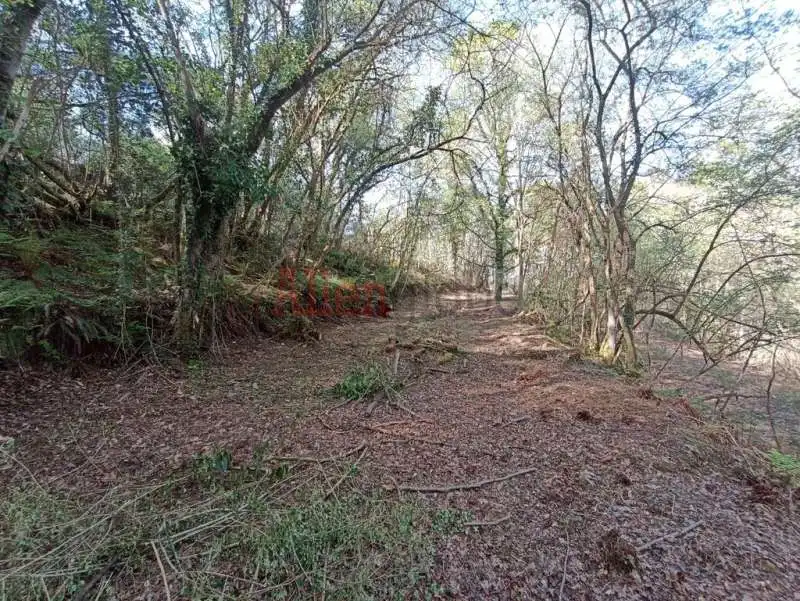 Casa o xalet en venda en Siero