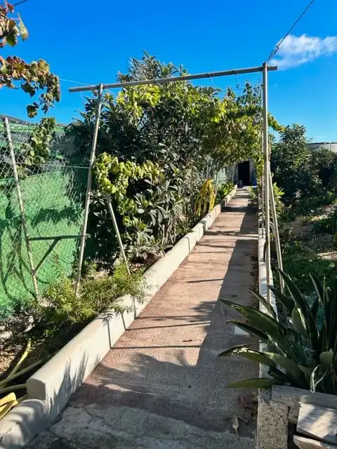 Exterior view of Land for sale in Granadilla de Abona
