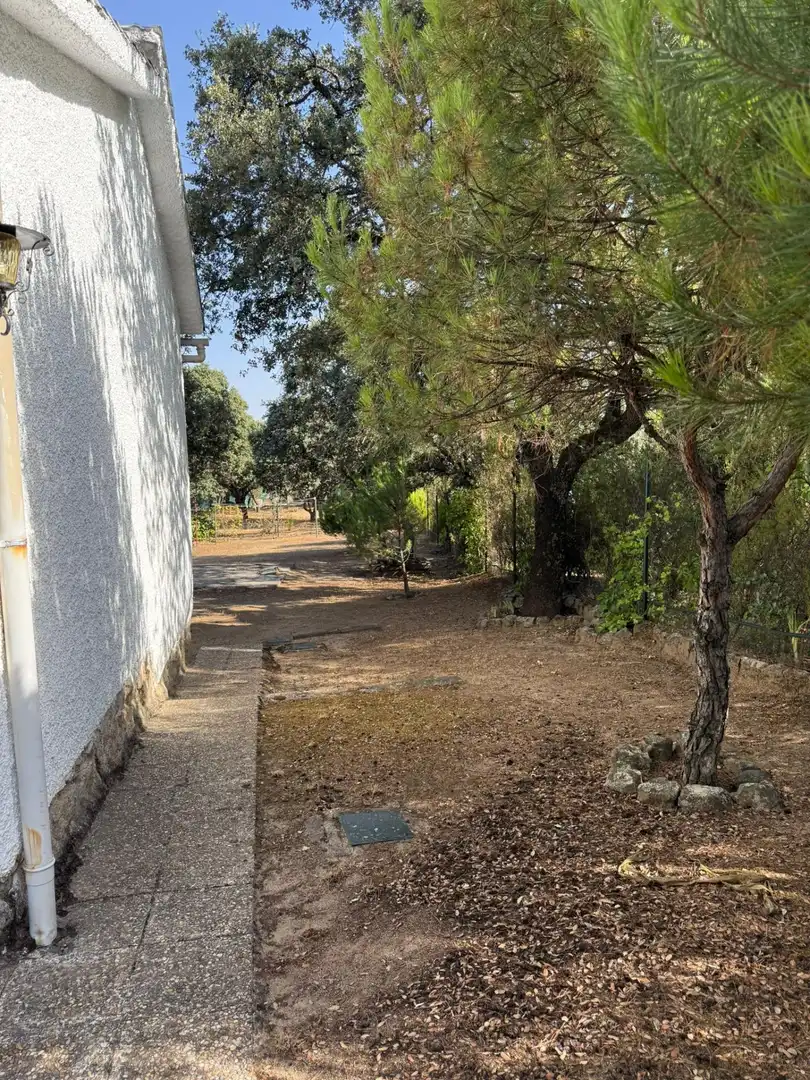 Houses for sale in Calle ROMERAL, Las Zorreras - Monte Encinar