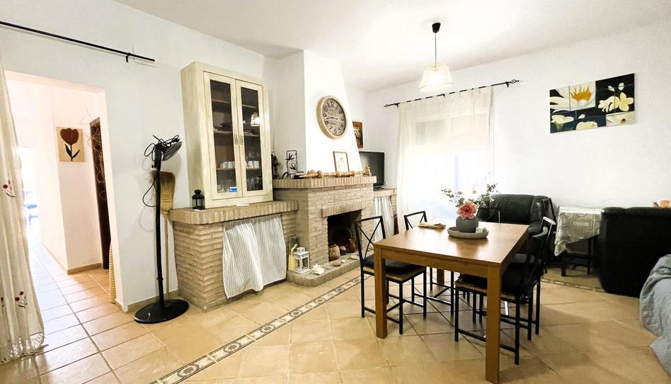 Photo 1 of House or chalet for sale in Avenida del Convento, Villaverde del Río, Sevilla