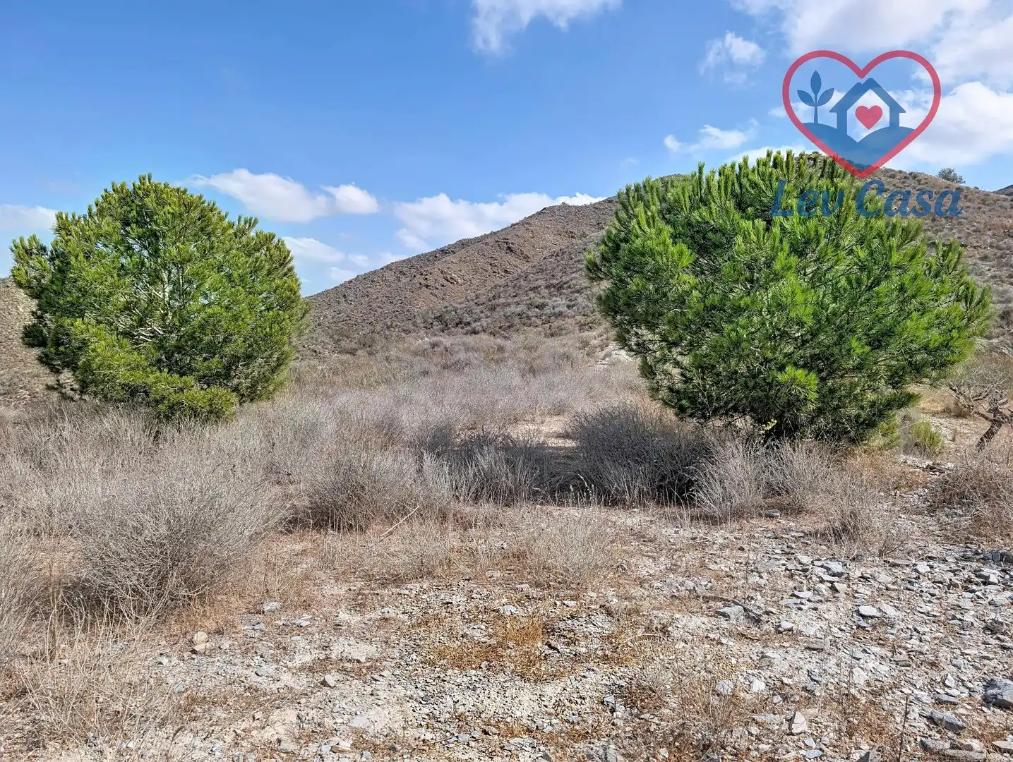 Terreno rustico in vendita a Playa del Galán, imagen 11