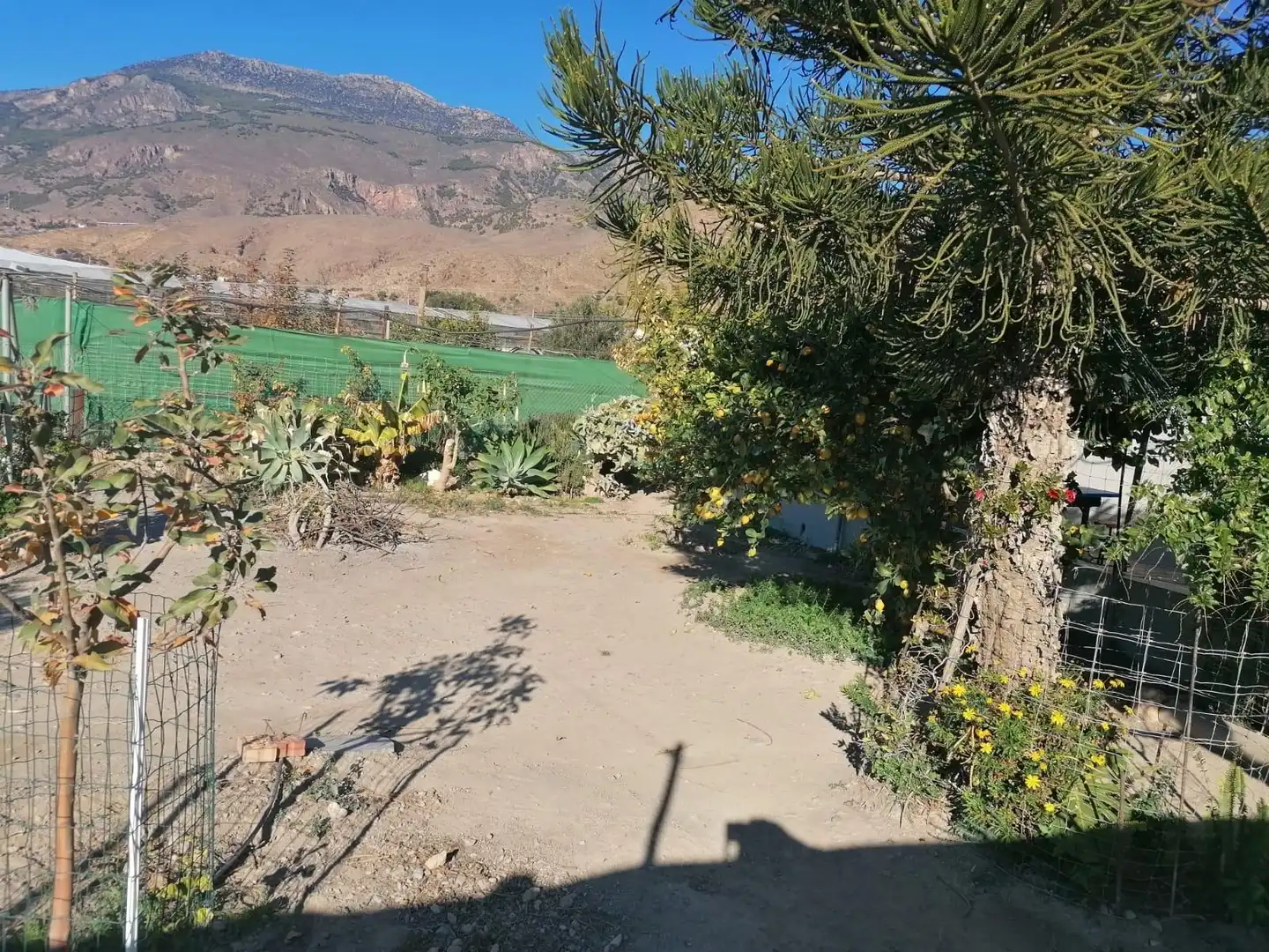 Jardí de Finca rústica en venda en Dalías amb Jardí privat i Terrassa