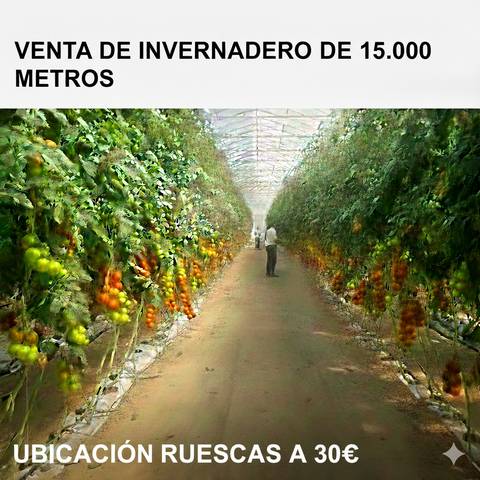 Terreno en Venta en Barrio Ruescas, 24 en Pozo de los Frailes - Presillas - Albaricoques