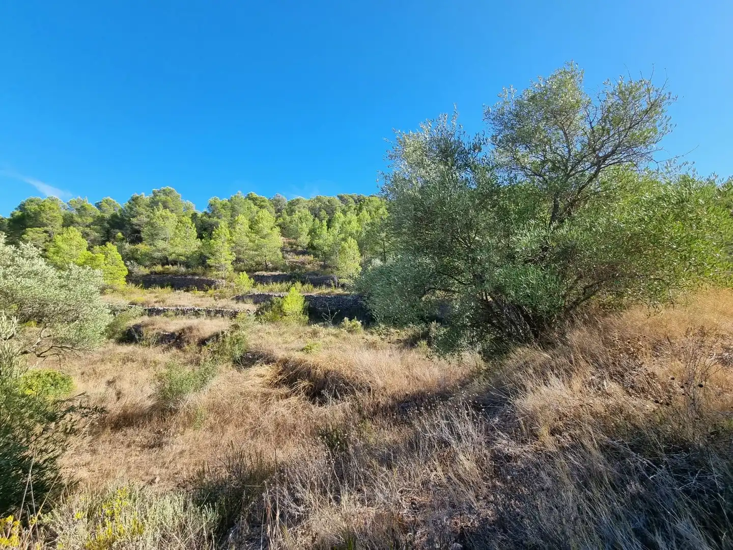 Lands and plots for sale in poligono 7 parcela 274, imagen 8