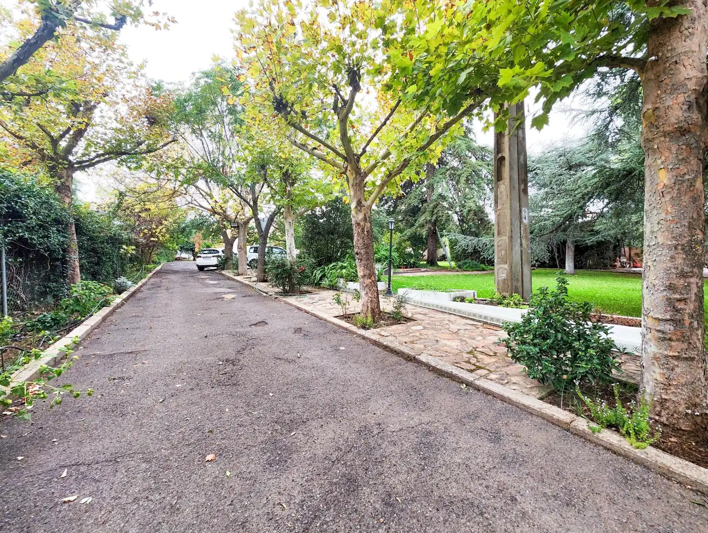 Vista exterior de Casa o chalet en venta en Puertollano con Aire acondicionado, Calefacción y Jardín privado