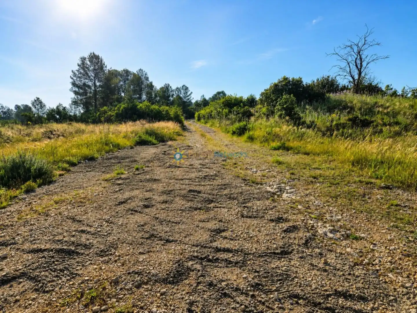 Rural land for sale in Benigànim, imagen 11