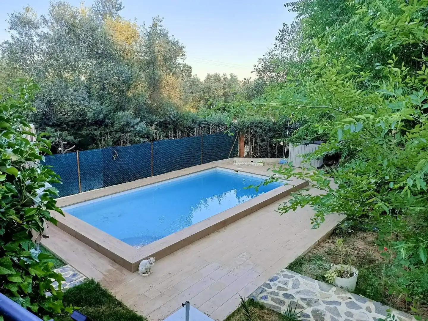 Piscina de Casa o xalet en venda en Piedrabuena amb Aire condicionat, Calefacció i Jardí privat