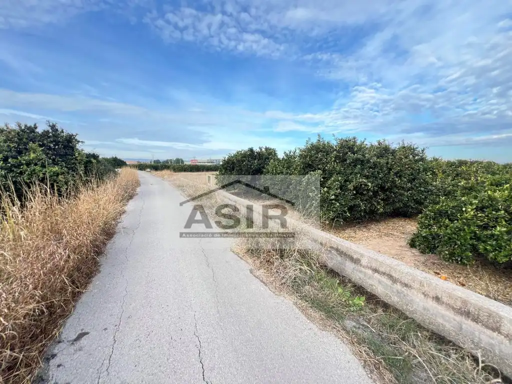 Terreno rústico en venta en Calle Guadassuar, imagen 15