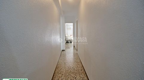 Foto 3 de Piso en venta en Santa María del Águila, El Ejido