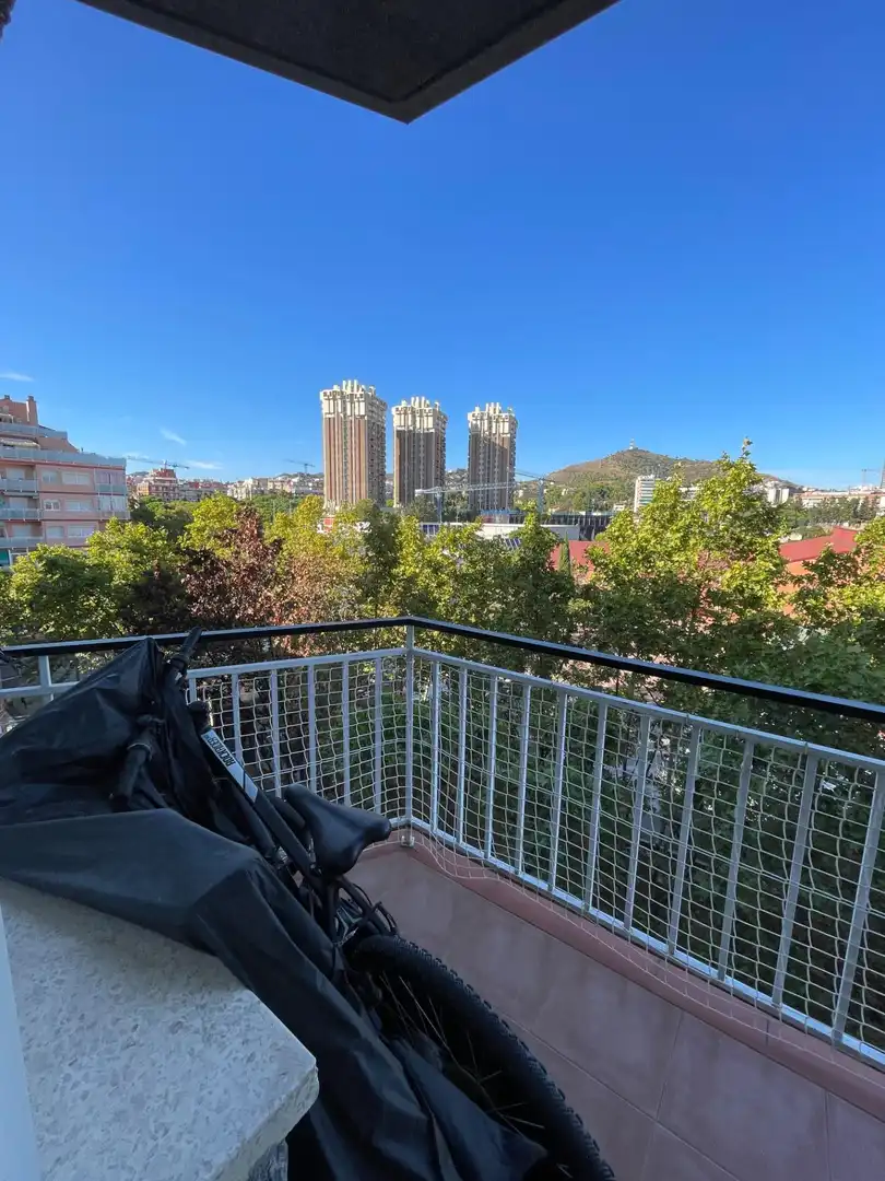 Ático con terraza en venta en La Plana, imagen 3