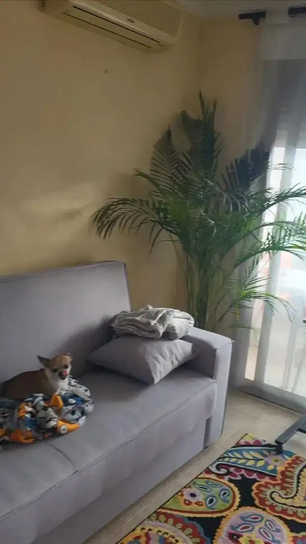Wohnungen zum Verkauf in Cala Palmera - Atrium