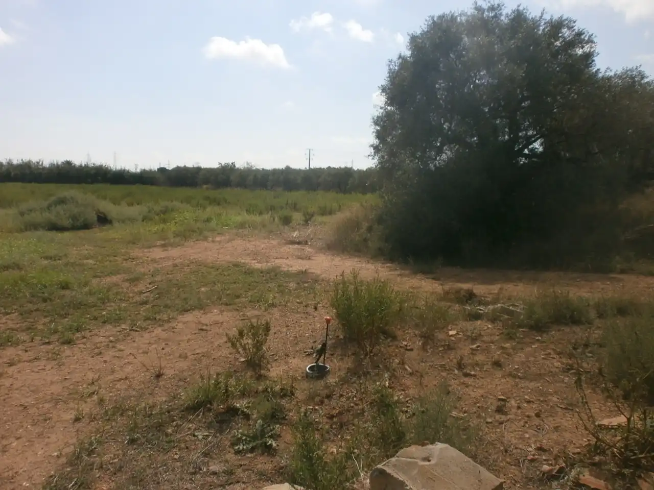 Rural land for sale in Constantí, imagen 15