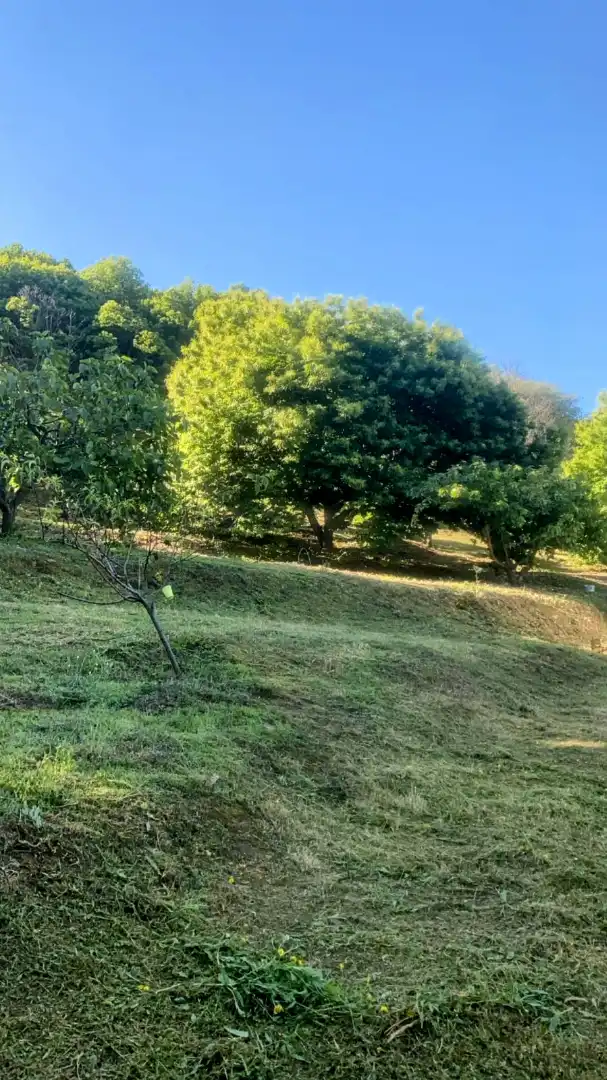 Terreni e lotti in vendita a Carretera del Camping, imagen 16