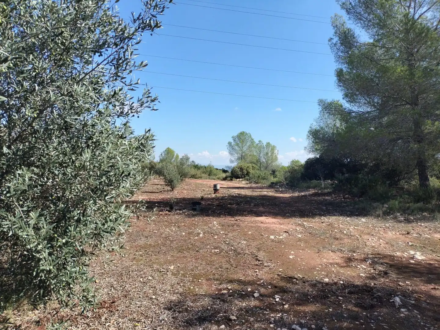 Rustikales Grundstück zum Verkauf in Xàtiva, imagen 3
