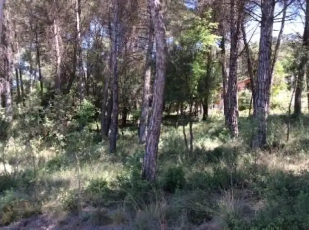 Terreno residenziale in vendita a Seva, imagen 4