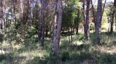 3 PARCELAS DE 1.002 M2 APROX. CADA UNA.
PARCELA ESQUINERA: 60.000€
LAS OTRAS DOS PARCELAS: 48.000€ CADA UNA.
A CONSULTAR PRECIO, immagine 4
